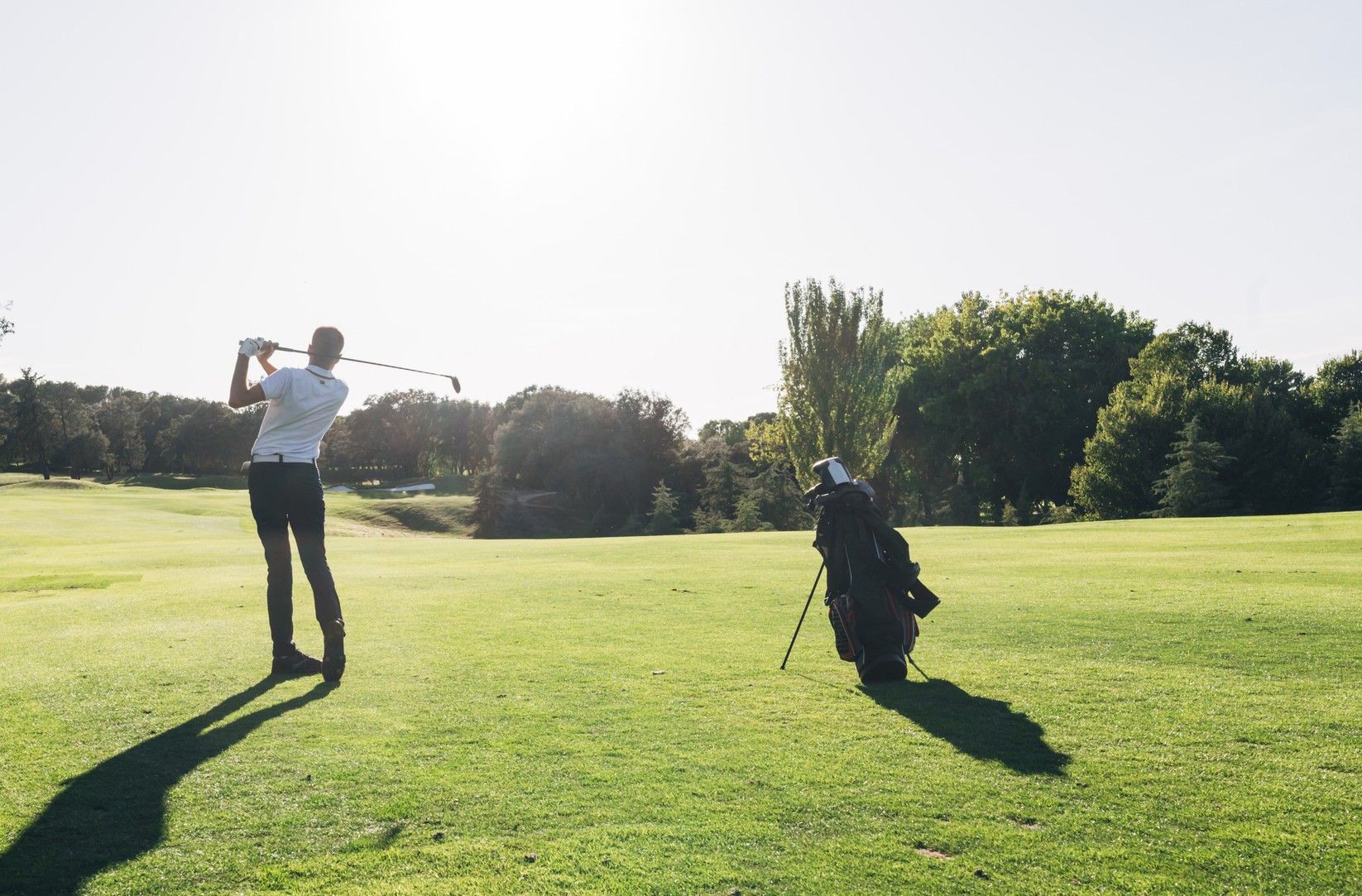Golf Stock Crop