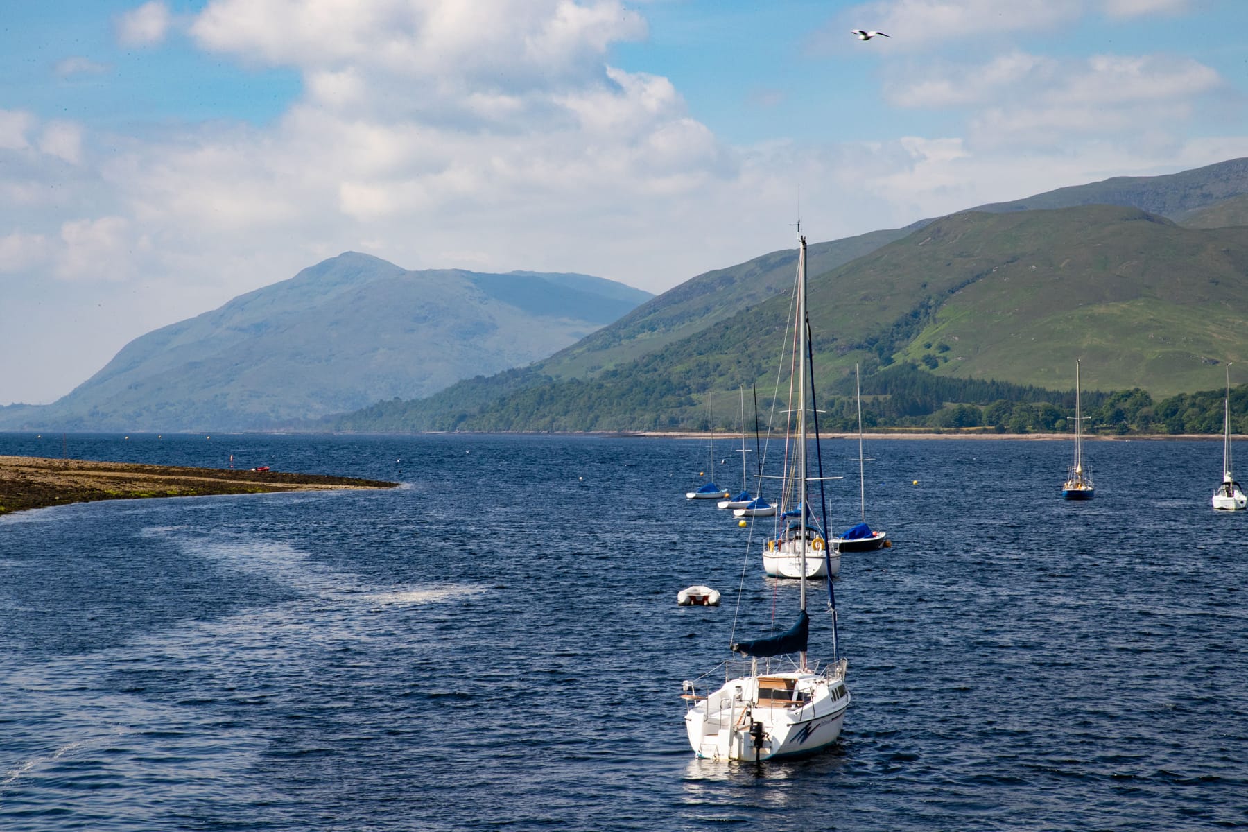 Yachts On The Loch
