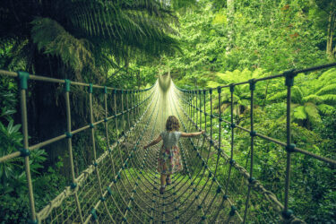 smburmese_rope_bridge