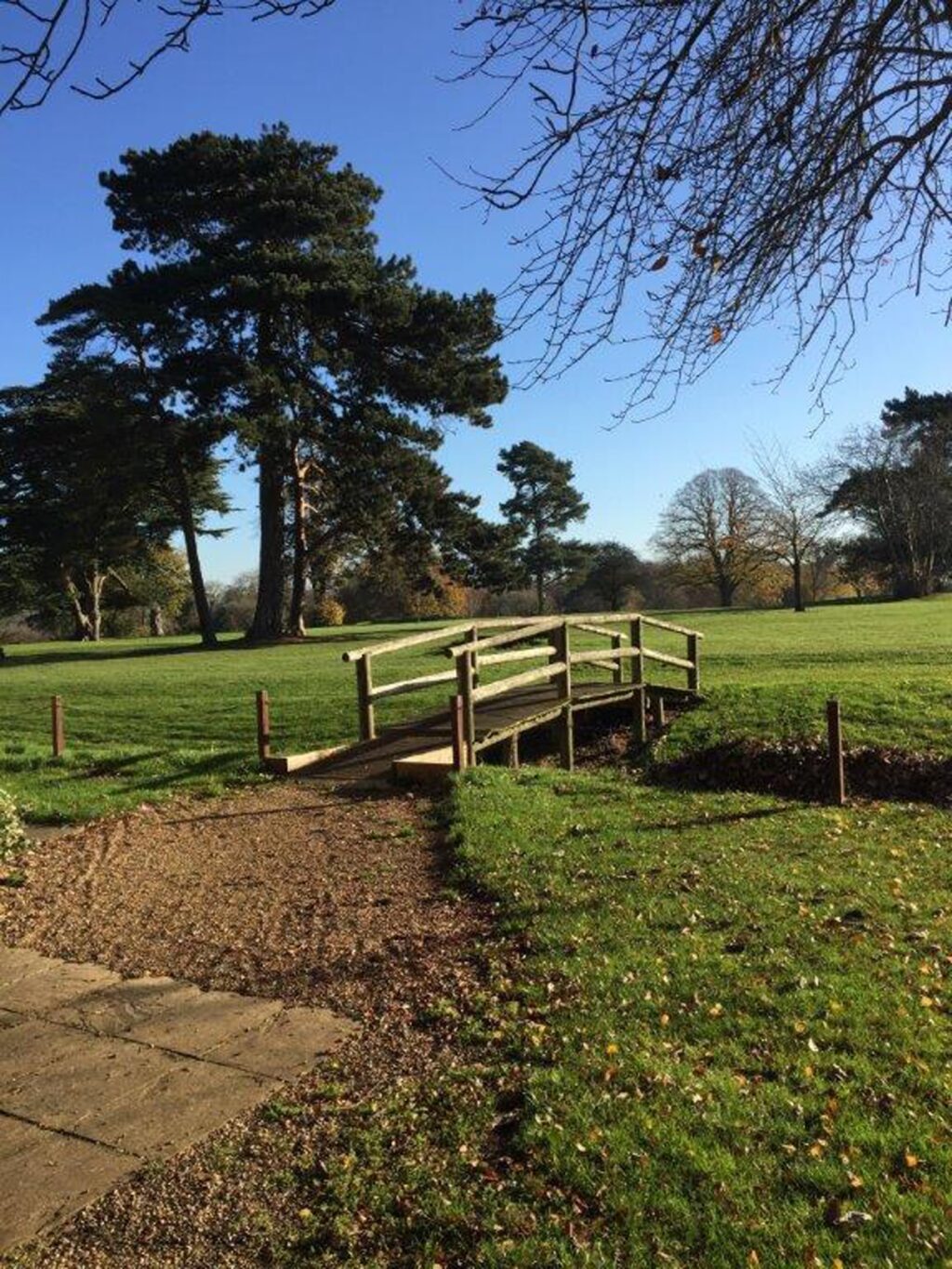 coulsdon-manor-Bridge photo opportunity