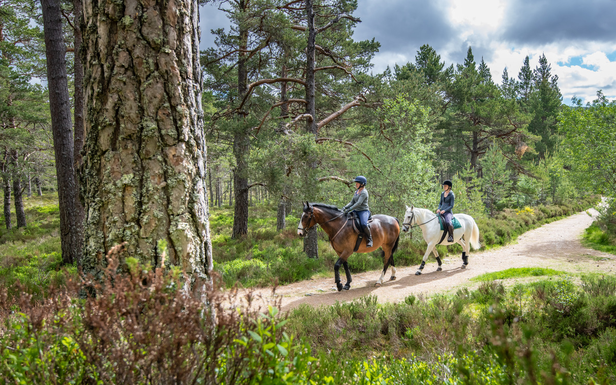 58686-horse-riding-responsibly-in-scotland-medium