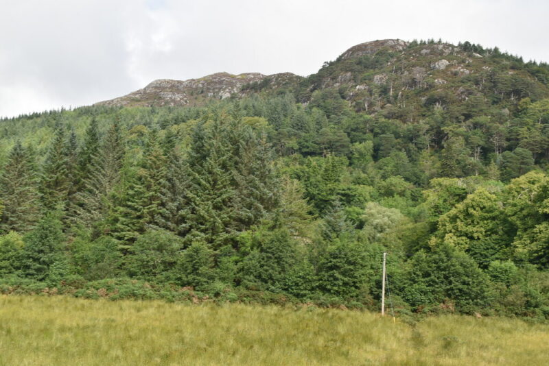 Flowerdale_Glen