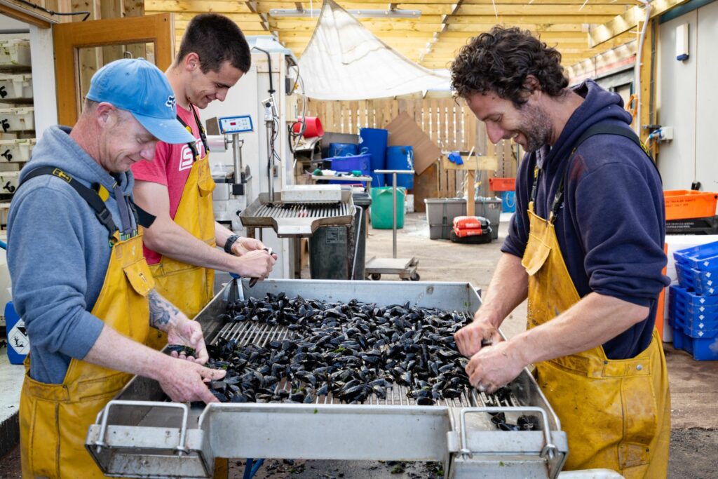 C&C The Imperial Exmouth -040