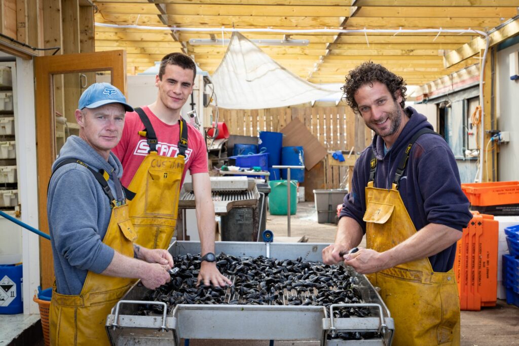 C&C The Imperial Exmouth -044