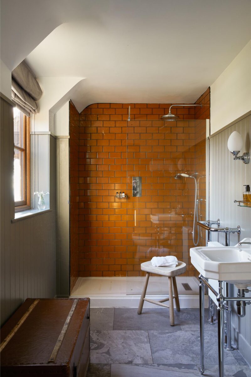 JackRussell Bathroom 1