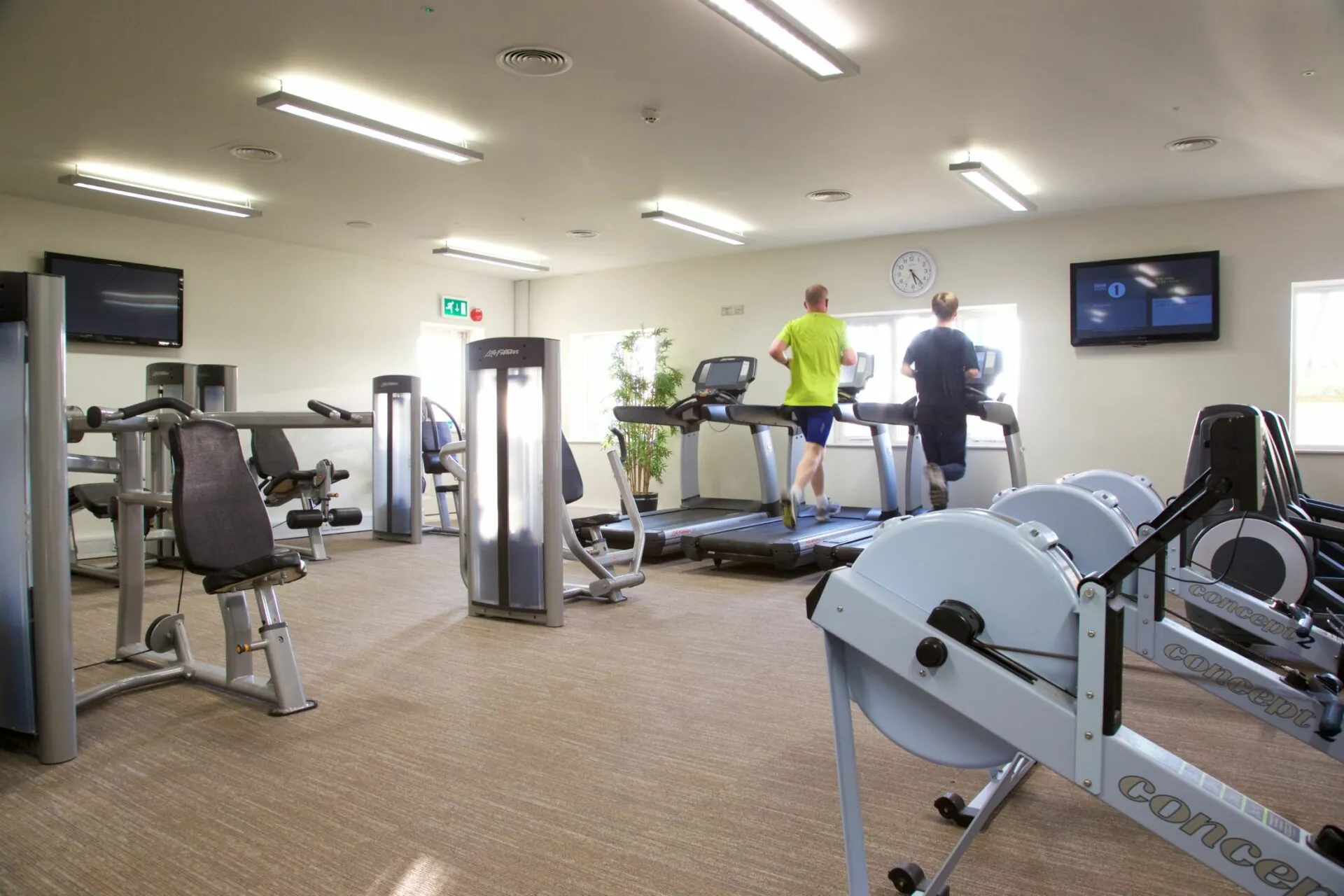Gym