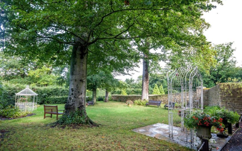 Grounds2