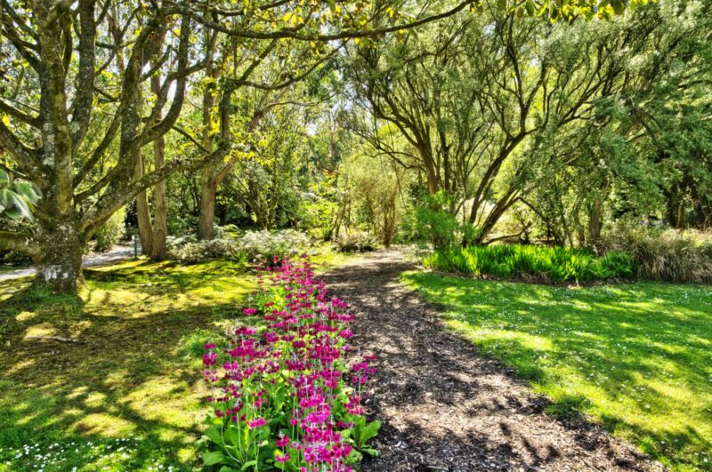 Logan Botanic Gardens