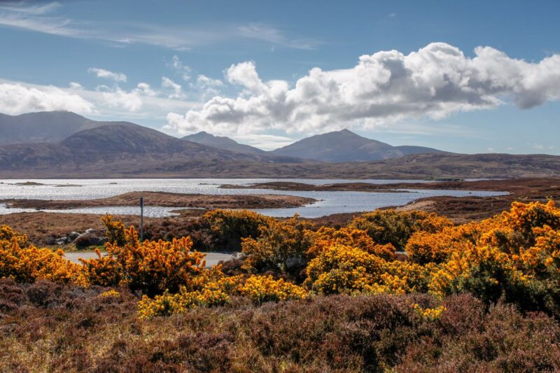 loch-druidibeg-national-nature-reserve-medium