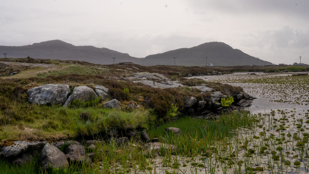 South Uist – Local 3