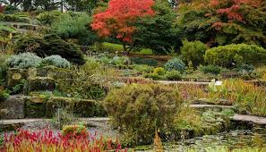 RHS WISLEY