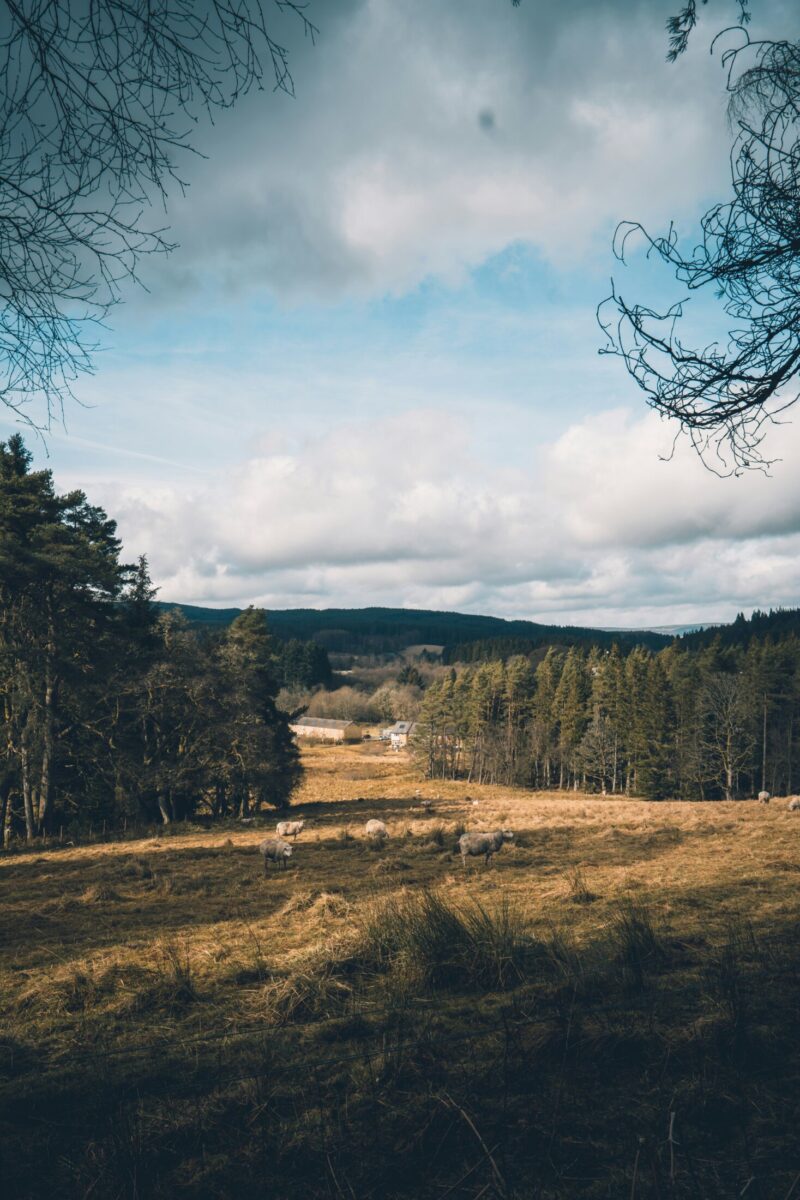 amy-gatenby-6as3qjekd5Y-unsplash