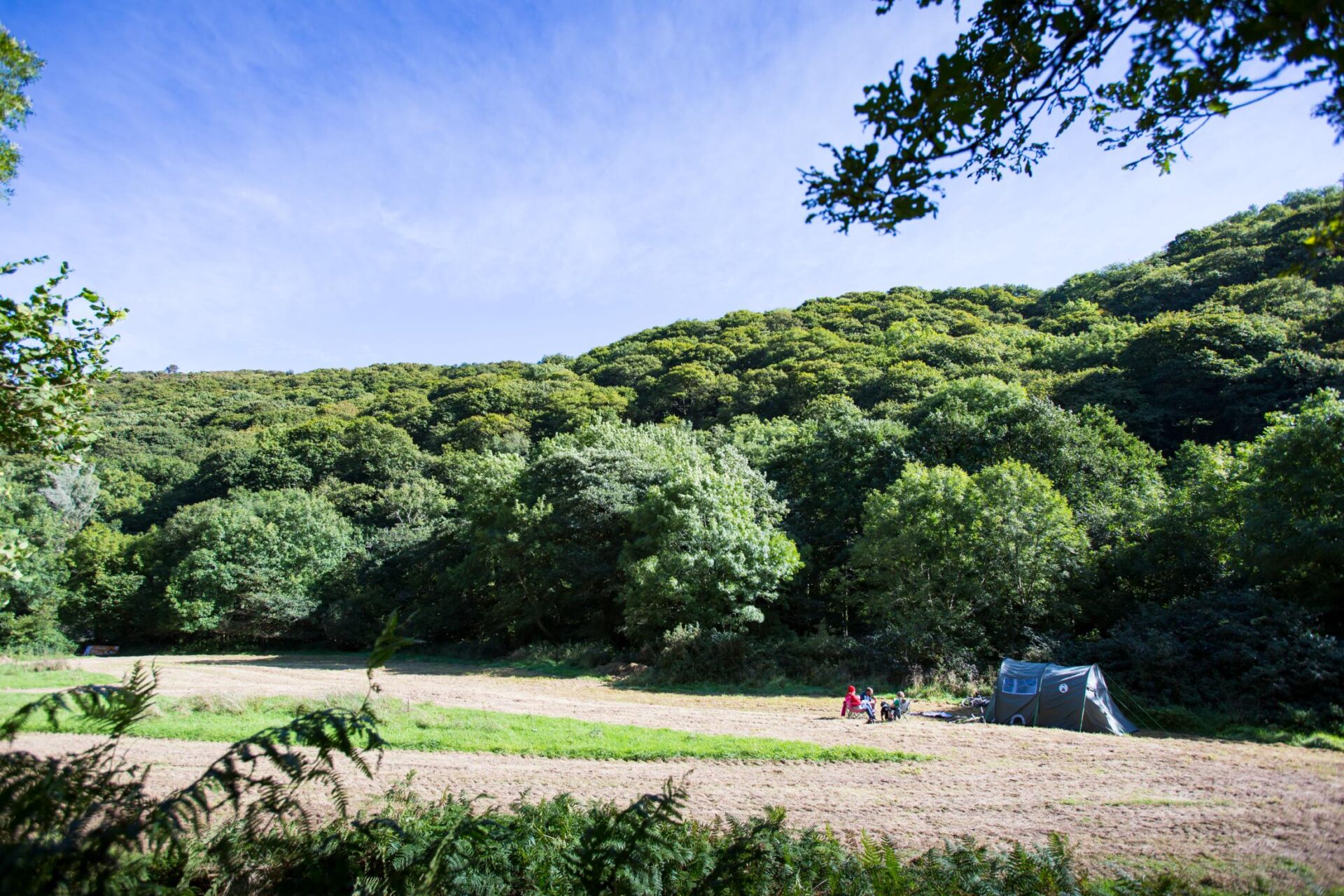 Heddon Valley Campsite – Tents – Chris Lacey (3) (1)