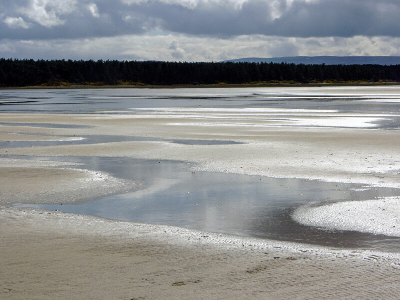 Culbin Sands Nature Reserve, Julian Paren