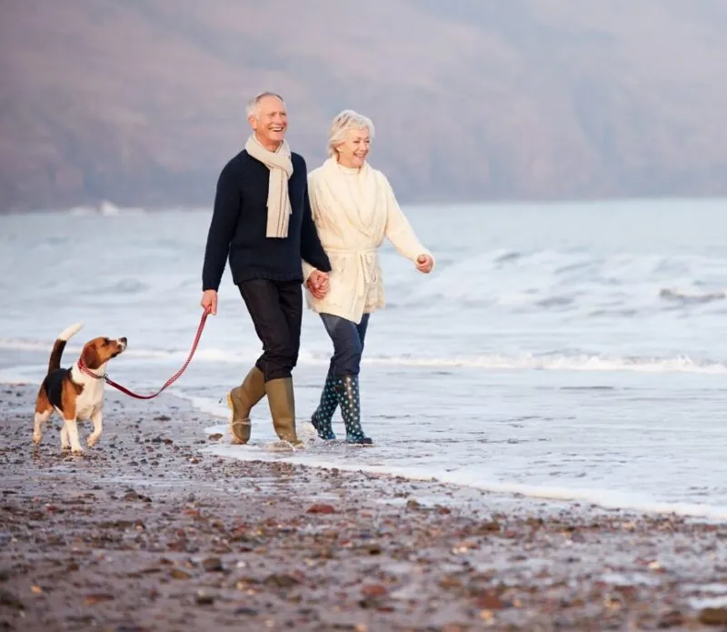 Senior Couple Walking Along Winter Beach With Pet Dog