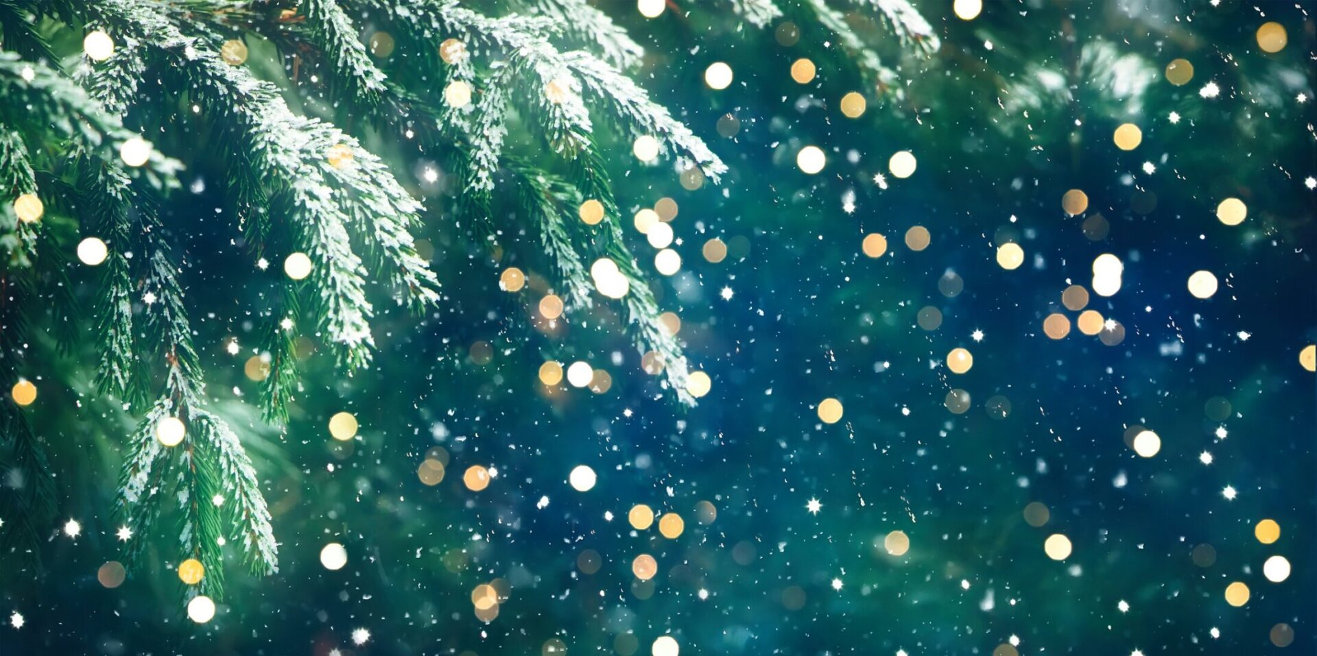 iStock-1183539489.